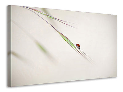 4-piece-canvas-print-ladybug