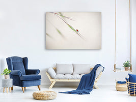 3-piece-canvas-print-ladybug
