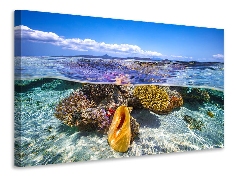 panoramic-3-piece-canvas-print-lagoon-life