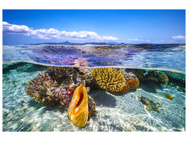 panoramic-3-piece-canvas-print-lagoon-life