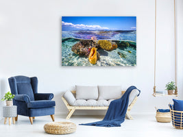 5-piece-canvas-print-lagoon-life