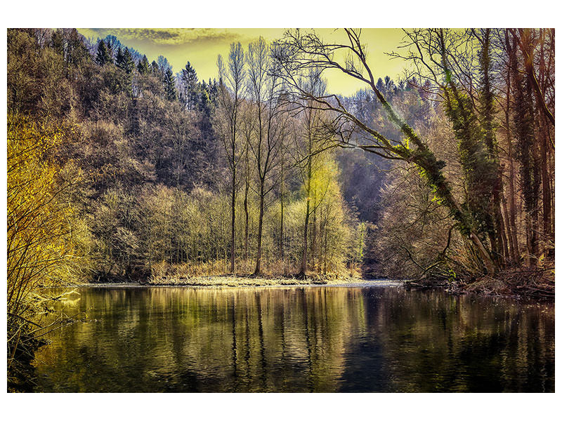5-piece-canvas-print-lake-in-the-forest