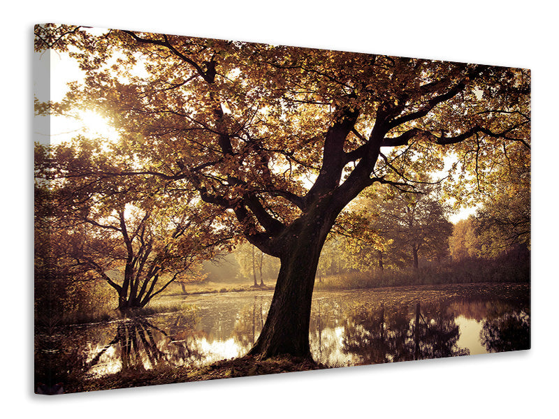 4-piece-canvas-print-landscape-park