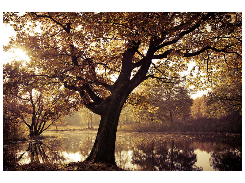 modern-4-piece-canvas-print-landscape-park