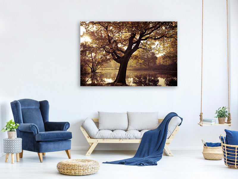 5-piece-canvas-print-landscape-park