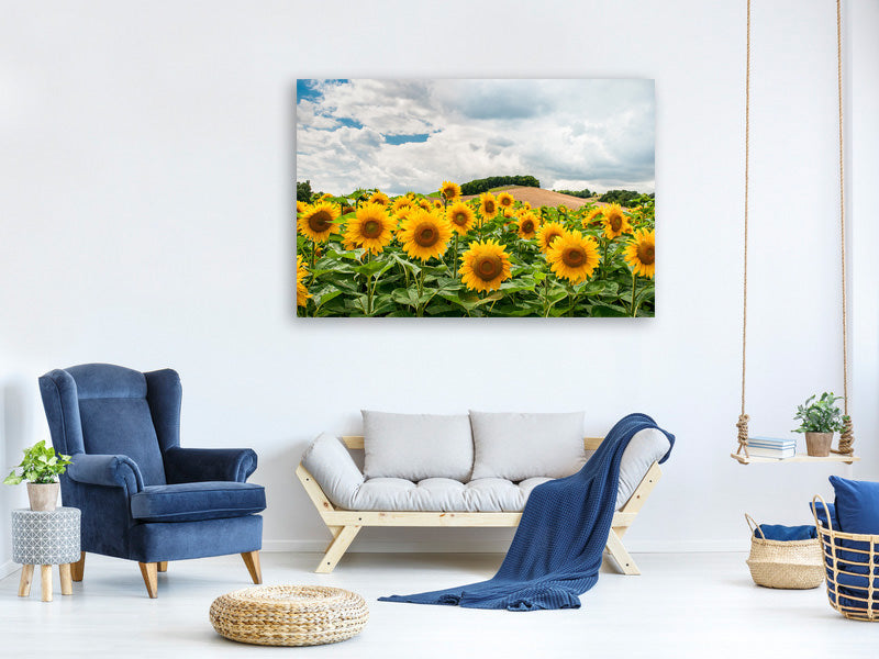 modern-3-piece-canvas-print-landscape-with-sunflowers