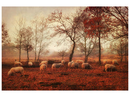 modern-4-piece-canvas-print-last-days-of-autumn