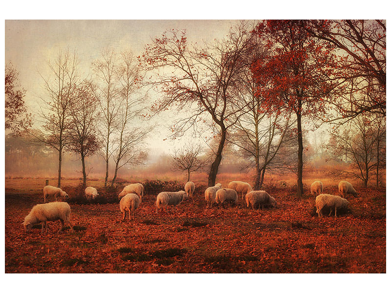 3-piece-canvas-print-last-days-of-autumn