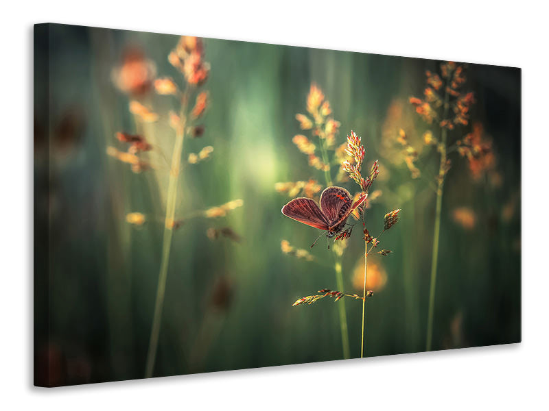 modern-4-piece-canvas-print-last-light