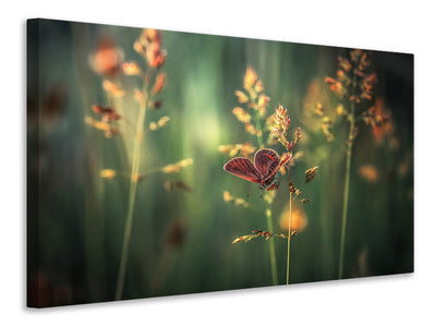 modern-4-piece-canvas-print-last-light