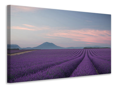 4-piece-canvas-print-lavender-field