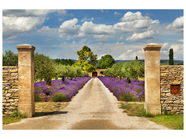 4-piece-canvas-print-lavender-garden