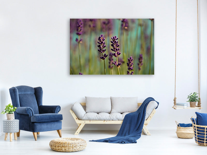 3-piece-canvas-print-lavender-in-xl
