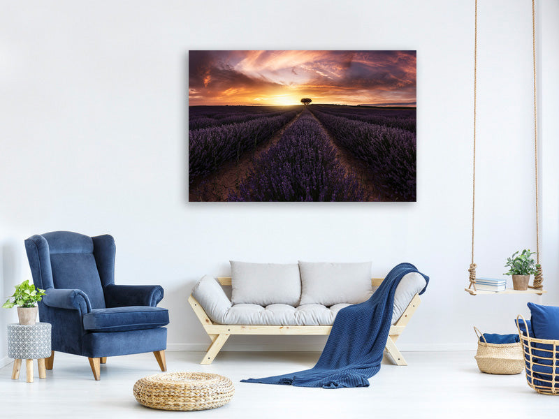 4-piece-canvas-print-lavender-sunset