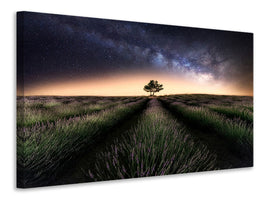 3-piece-canvas-print-lavender-way