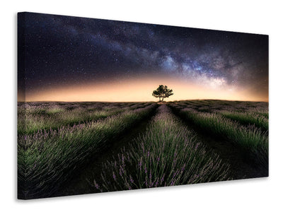 3-piece-canvas-print-lavender-way