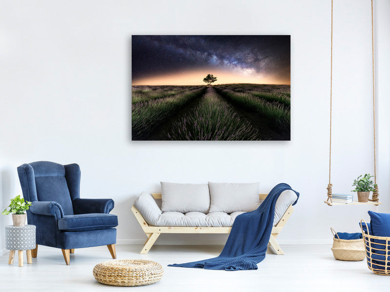 modern-4-piece-canvas-print-lavender-way