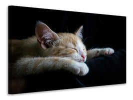 3-piece-canvas-print-lazy-cat