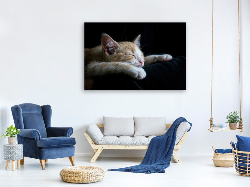 3-piece-canvas-print-lazy-cat