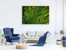 4-piece-canvas-print-leaf-of-a-hosta