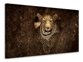 5-piece-canvas-print-leopard-resting-on-a-tree-at-masai-mara