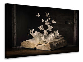 3-piece-canvas-print-lepidopterology