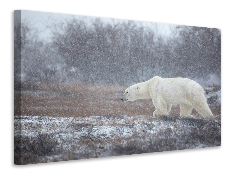 modern-3-piece-canvas-print-let-it-snow-a