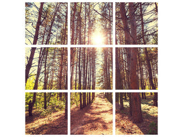 canvas-print-light-at-the-end-of-the-forest-path