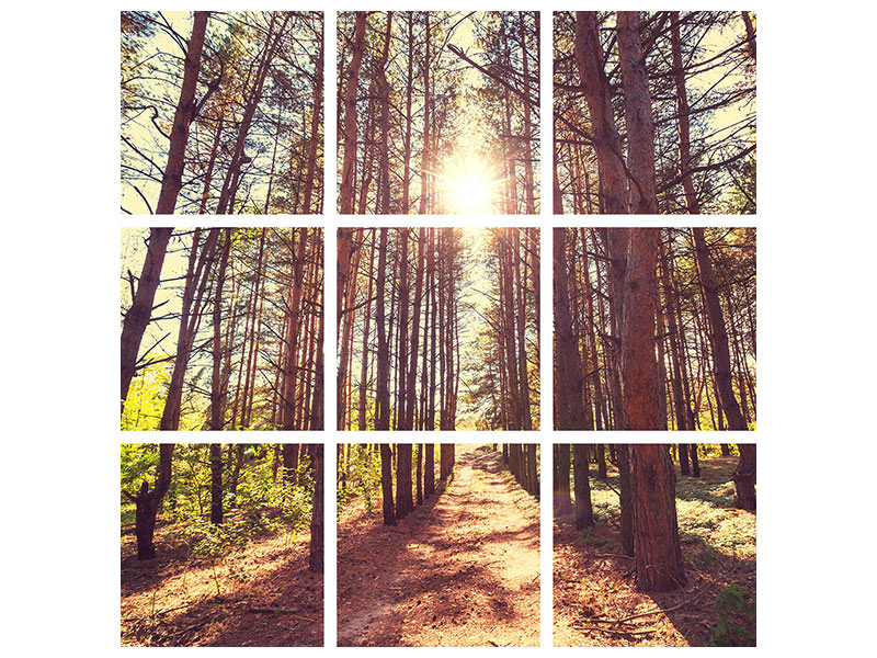 canvas-print-light-at-the-end-of-the-forest-path