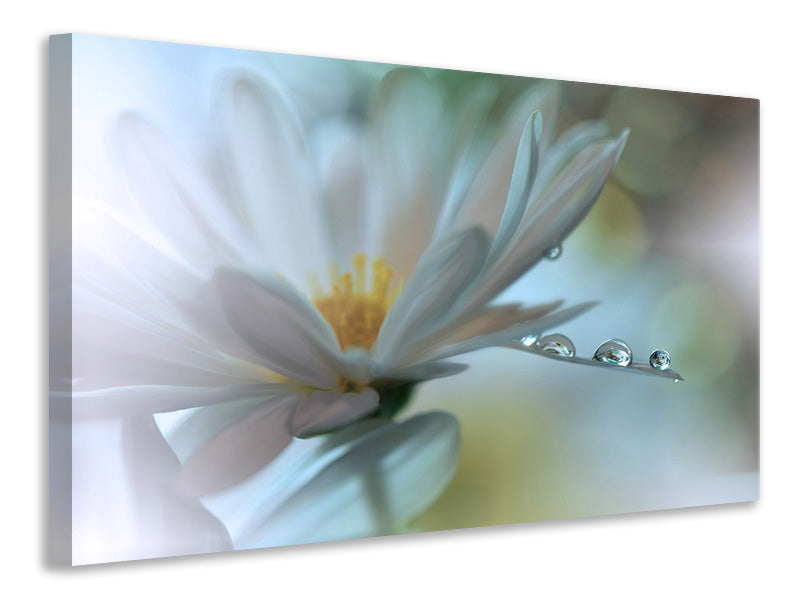 3-piece-canvas-print-light-touch