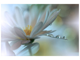 5-piece-canvas-print-light-touch
