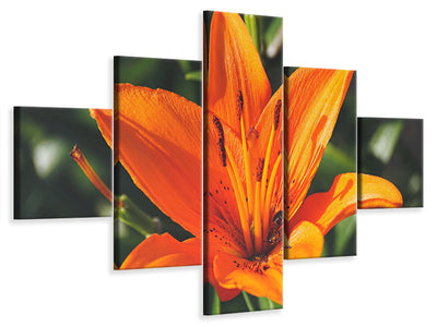 modern-3-piece-canvas-print-lilies-blossom-in-orange-xl