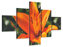modern-4-piece-canvas-print-lilies-blossom-in-orange-xl