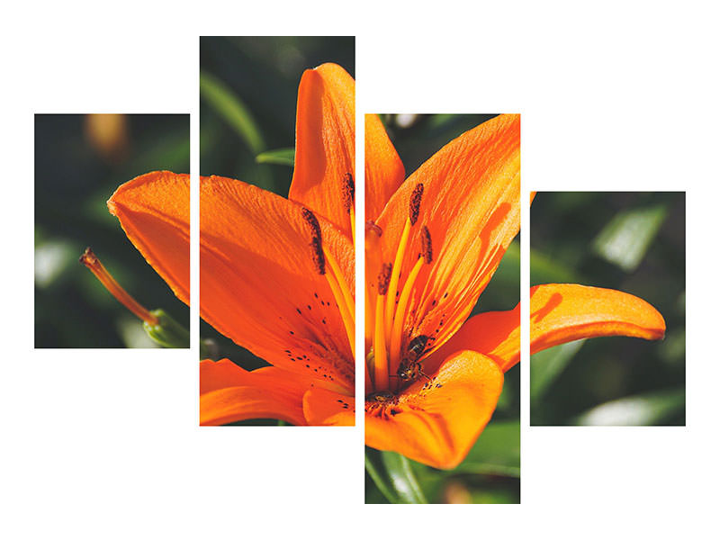 modern-3-piece-canvas-print-lilies-blossom-in-orange-xl