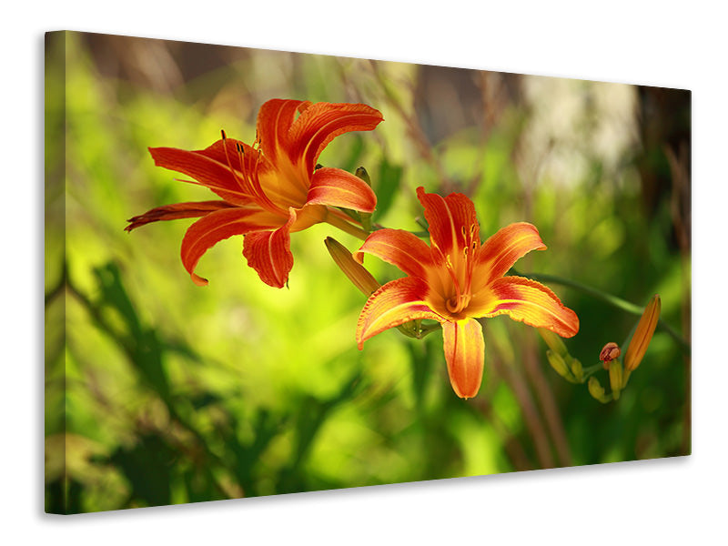 3-piece-canvas-print-lilies-in-nature