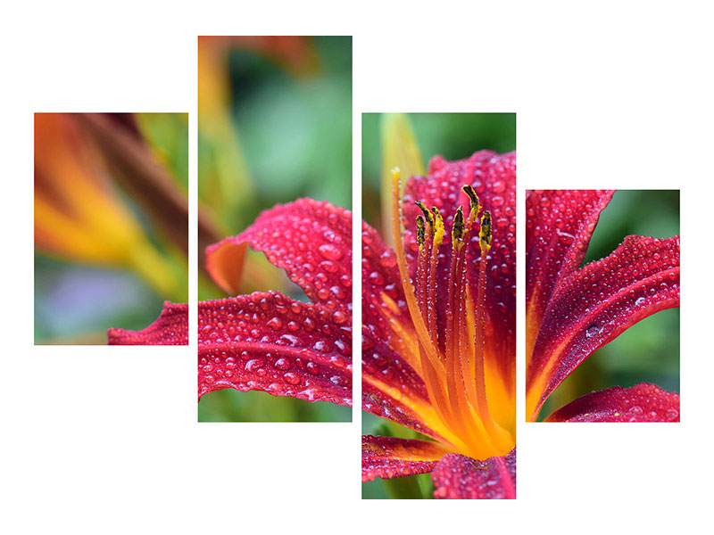 5-piece-canvas-print-lily-flower-in-pink-xl