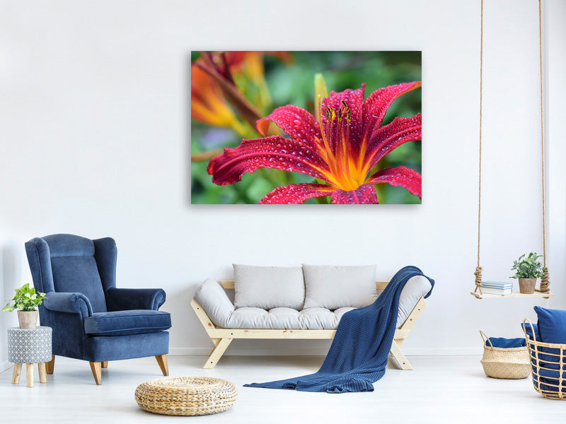 3-piece-canvas-print-lily-flower-in-pink-xl