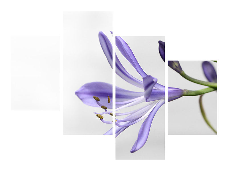 4-piece-canvas-print-lily-flower-in-purple