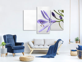 modern-4-piece-canvas-print-lily-flower-in-purple
