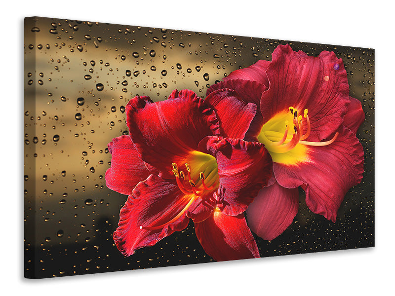 4-piece-canvas-print-lily-flowers-with-water-drops