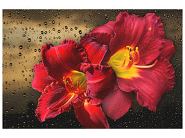 modern-3-piece-canvas-print-lily-flowers-with-water-drops