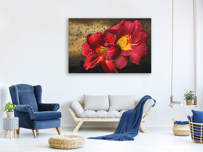 modern-4-piece-canvas-print-lily-flowers-with-water-drops