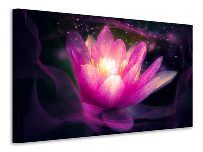 5-piece-canvas-print-lily-in-the-light-play