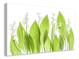 3-piece-canvas-print-lily-of-the-valley
