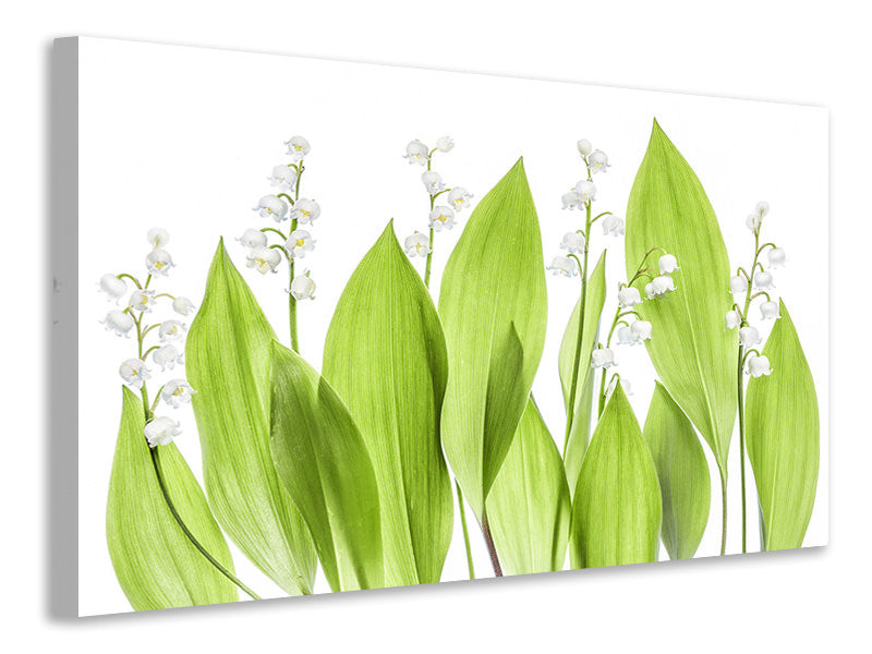 modern-4-piece-canvas-print-lily-of-the-valley