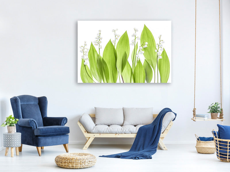 5-piece-canvas-print-lily-of-the-valley