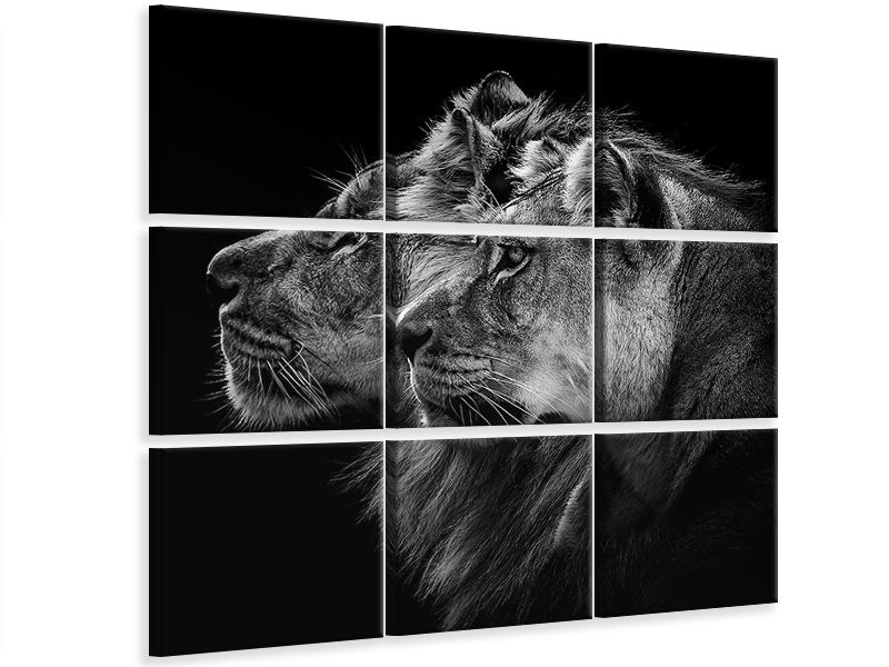 4-piece-canvas-print-lion-and-lioness-portrait