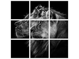 canvas-print-lion-and-lioness-portrait