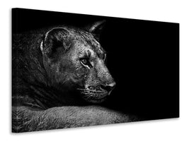 panoramic-canvas-print-lion