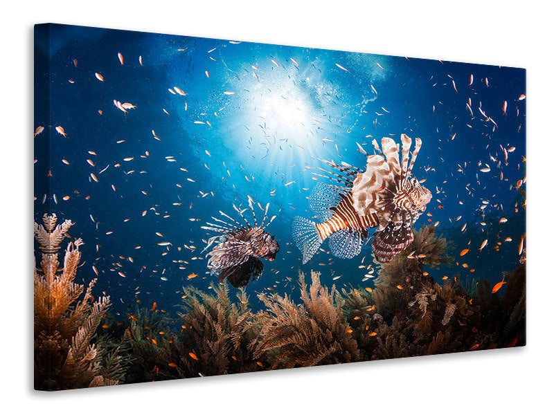 4-piece-canvas-print-lionfish-ii